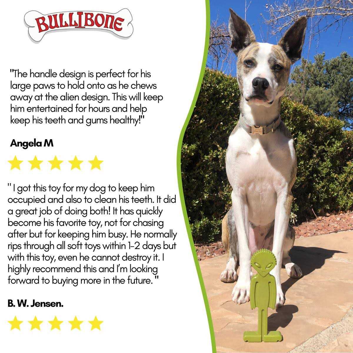 Small Dog Chew Toy with Easy Hold Grips Z18700