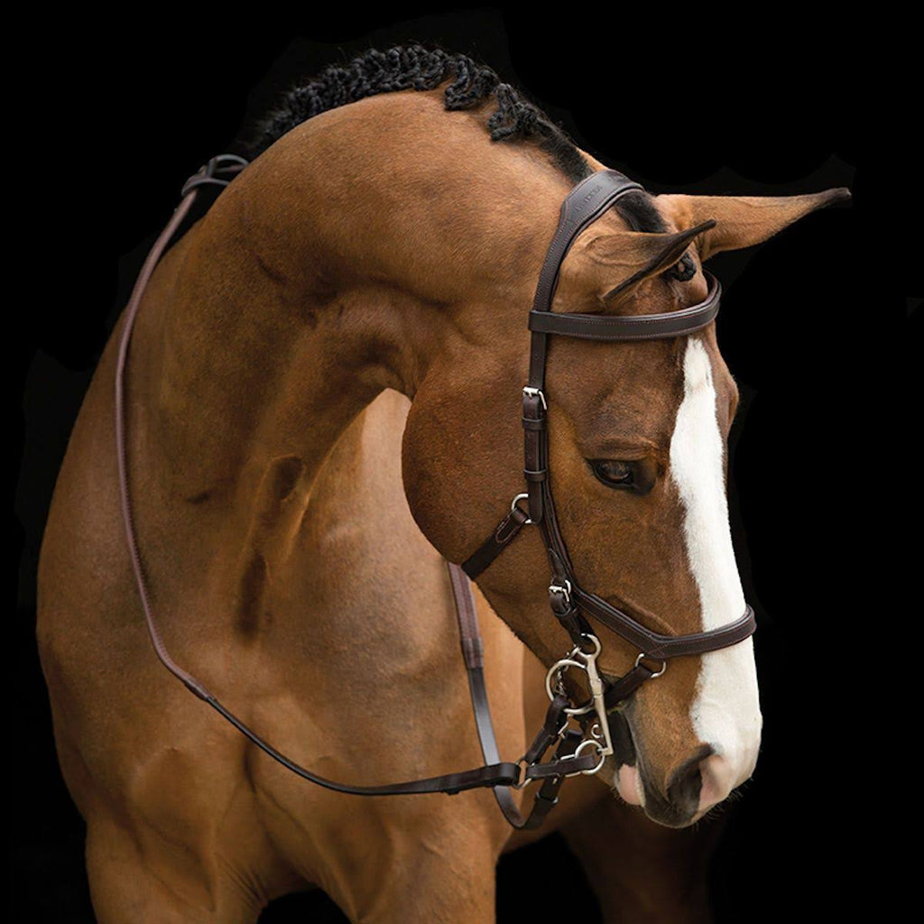Brown Competition Bridle N590