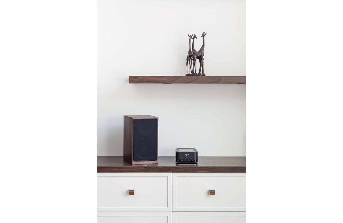 Black Premium Wireless 2-Channel Amplifier G879