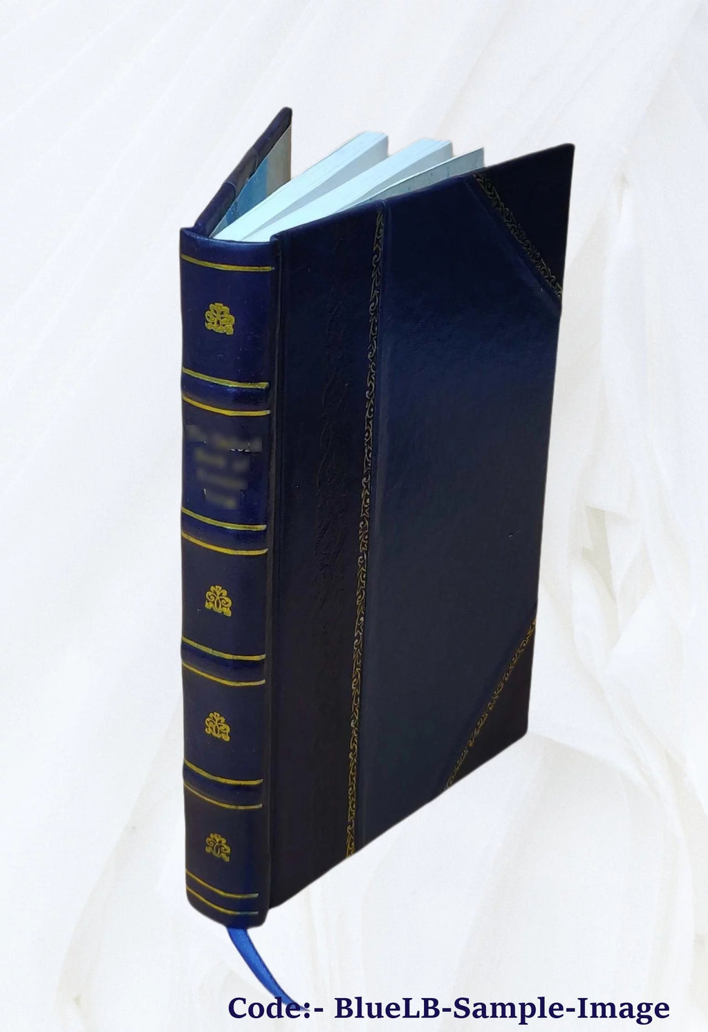 Germany Leather Bound G541309