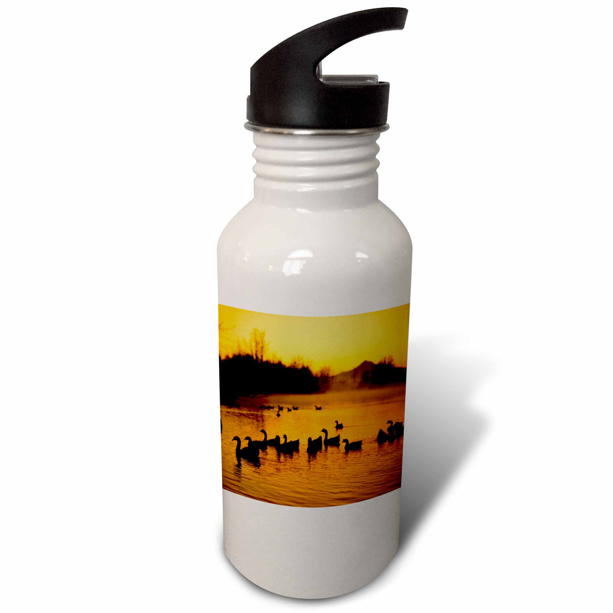 21 oz Sports Water Bottle F973674