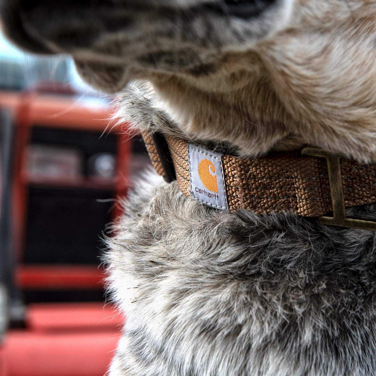 Carhartt Tradesman Dog Collar C7823