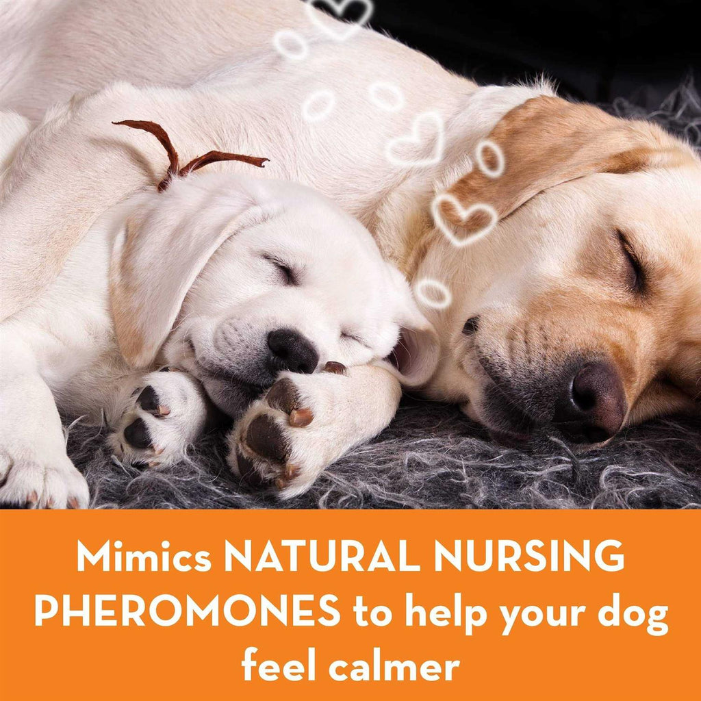 Calming Spray for Dogs U301