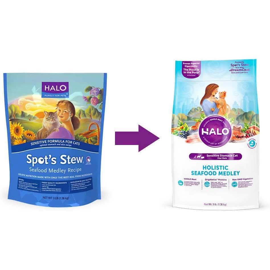 Seafood Sensitive Stomach Dry Cat Food D490951