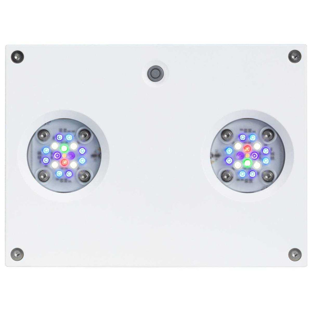 Hydra 32 HD LED H17392