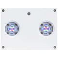 Hydra 32 HD LED H17392