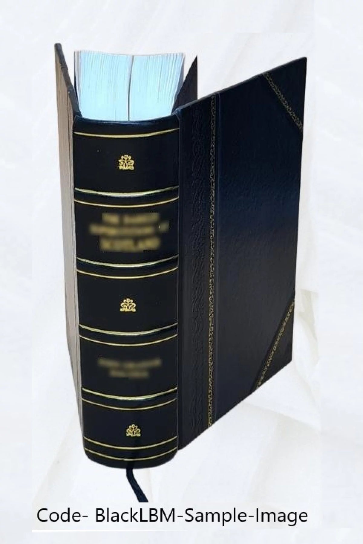 Leather Bound U5715