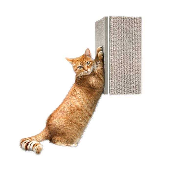 Cat Scratcher Wall Mounted G474563