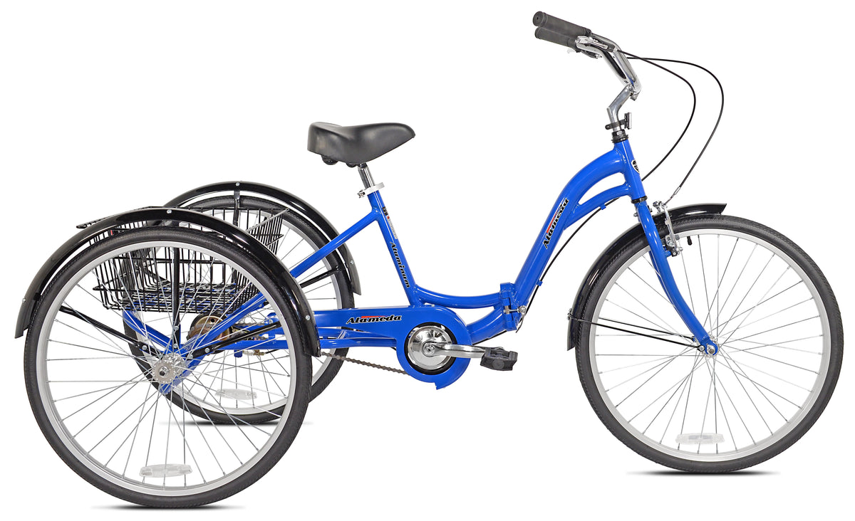 Blue Folding Adult Trike R61063