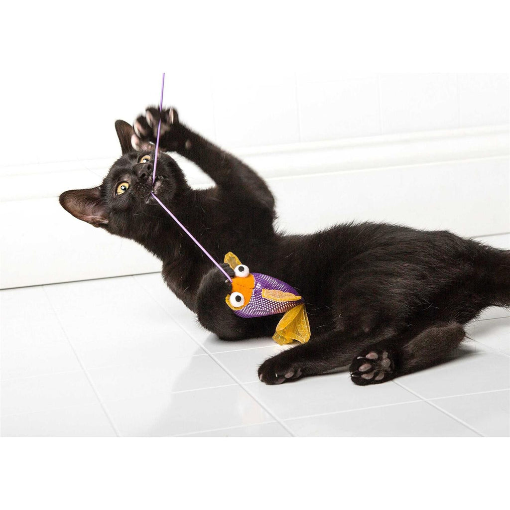 Cat Toy W986944