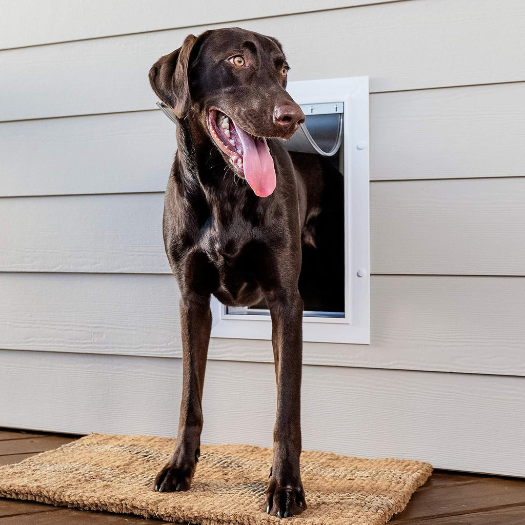 Pet Door with Telescoping Tunnel M92230