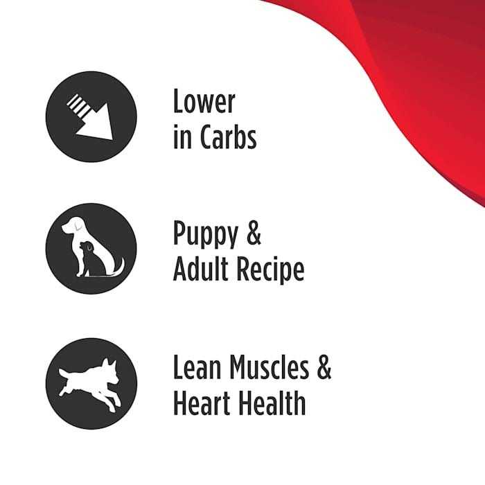 Turkey Small Breed Adult Dry Dog Food R973