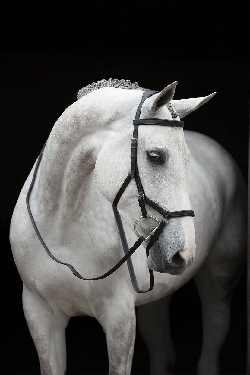 Brown Competition Bridle N590