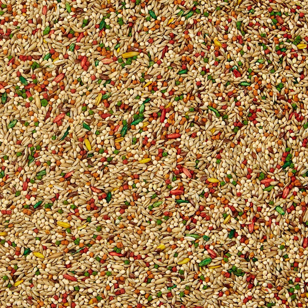 Parakeet Food E1370