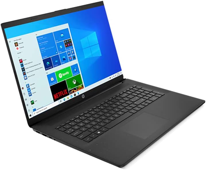 AMD Athlon Gold 3150U 16GB RAM 128GB PCIe SSD + 1TB HDD 17.3 HD+ Laptop N29010