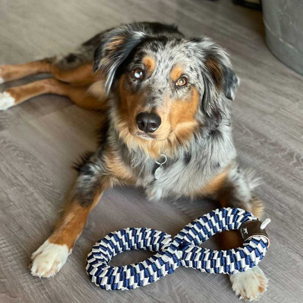 Braided Infinity Tug Toy R63385