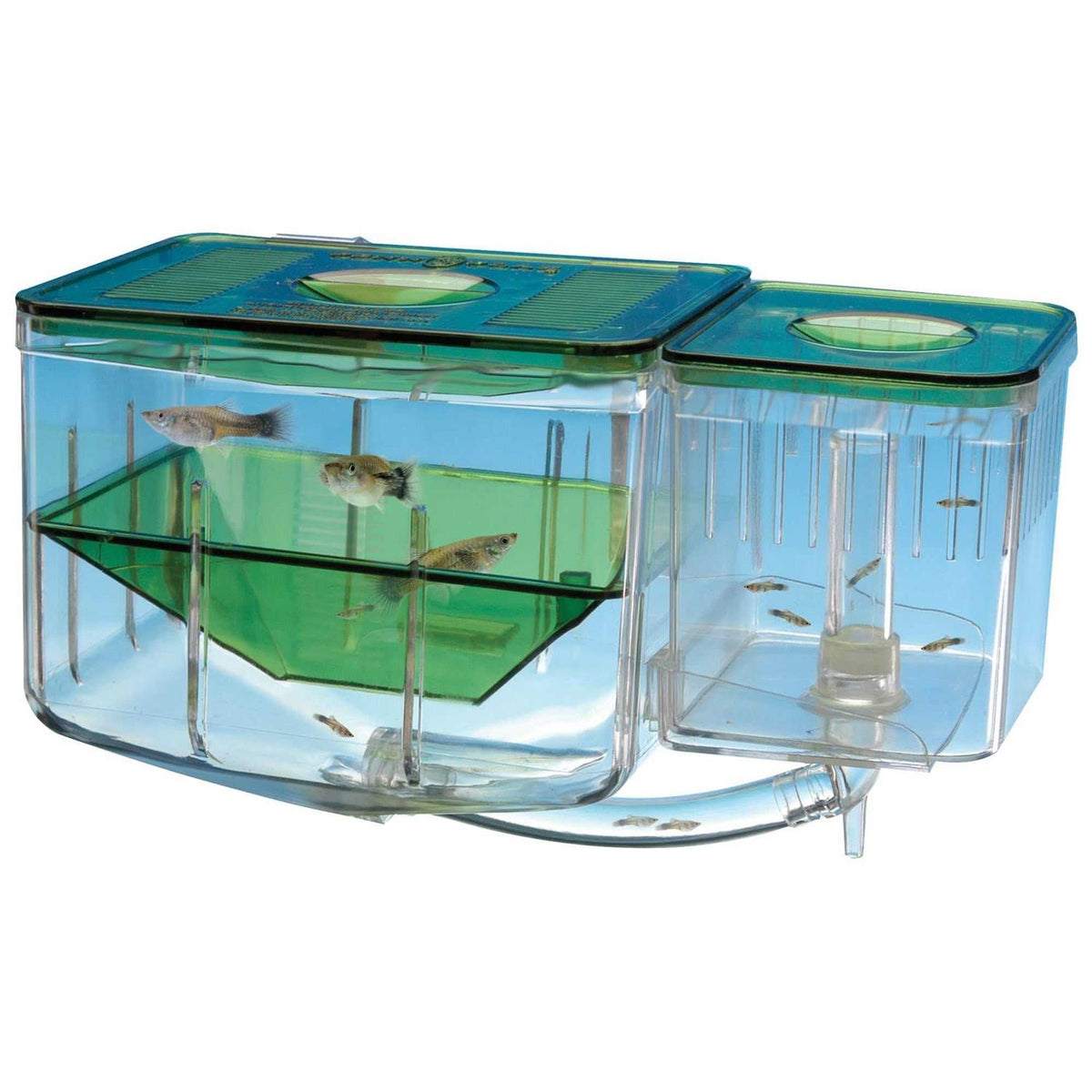 Aqua-Nursery D759