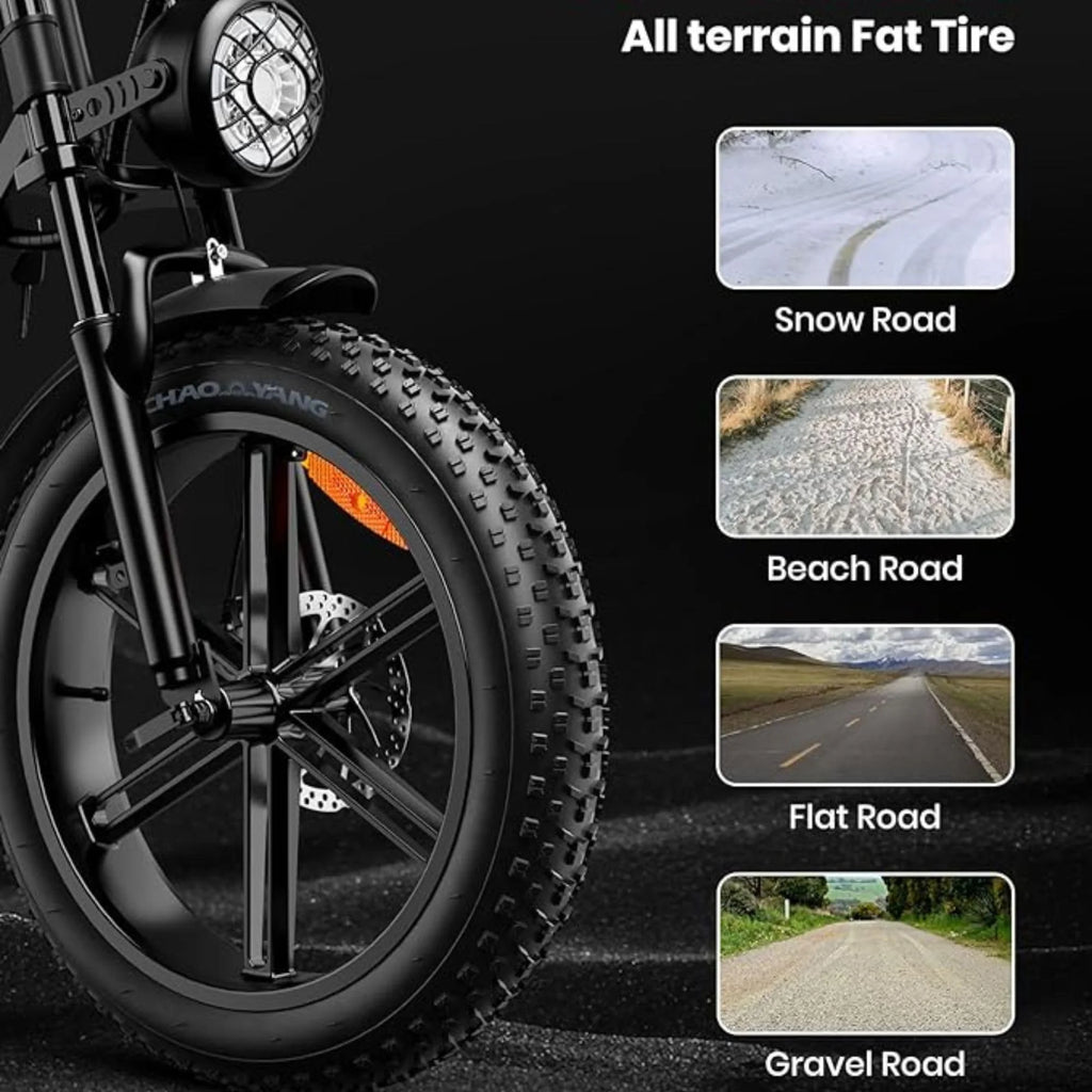 20" Fat Tire 750W Electric Bike with 48V 15AH Removable Battery F623