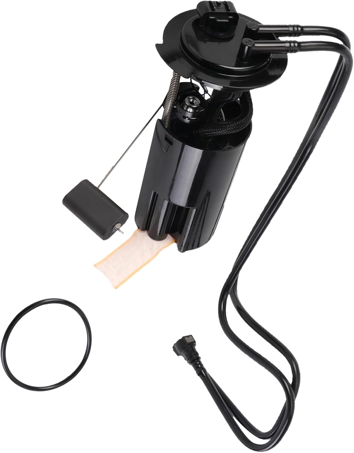 Fuel Pump Module Assembly Pack of 2 L79893