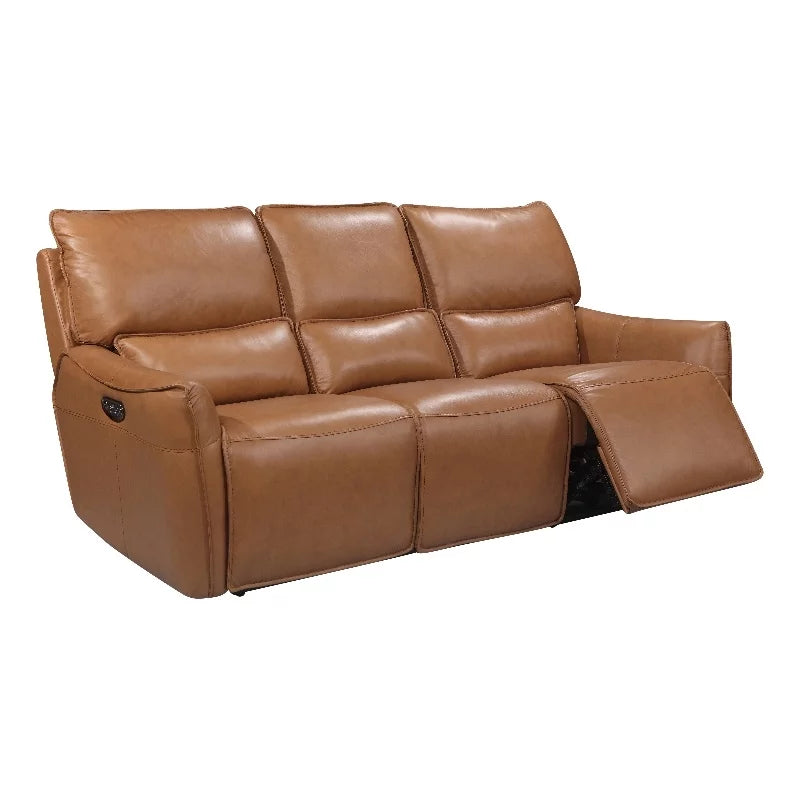 Desert Brown Leather & Hardwood Sofa V917494