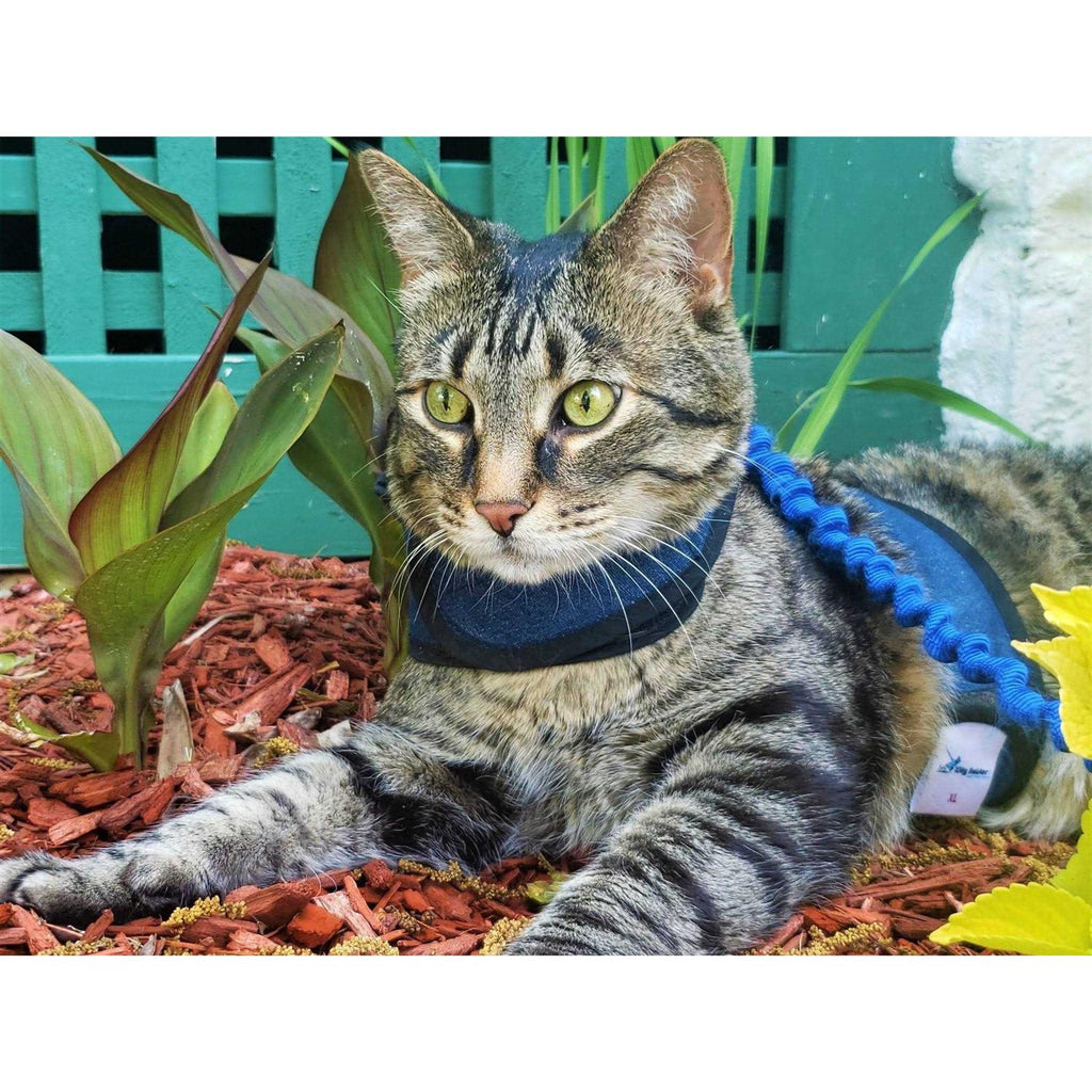 Cat Harness V7048