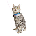 Kitten Harness & Lead F202006