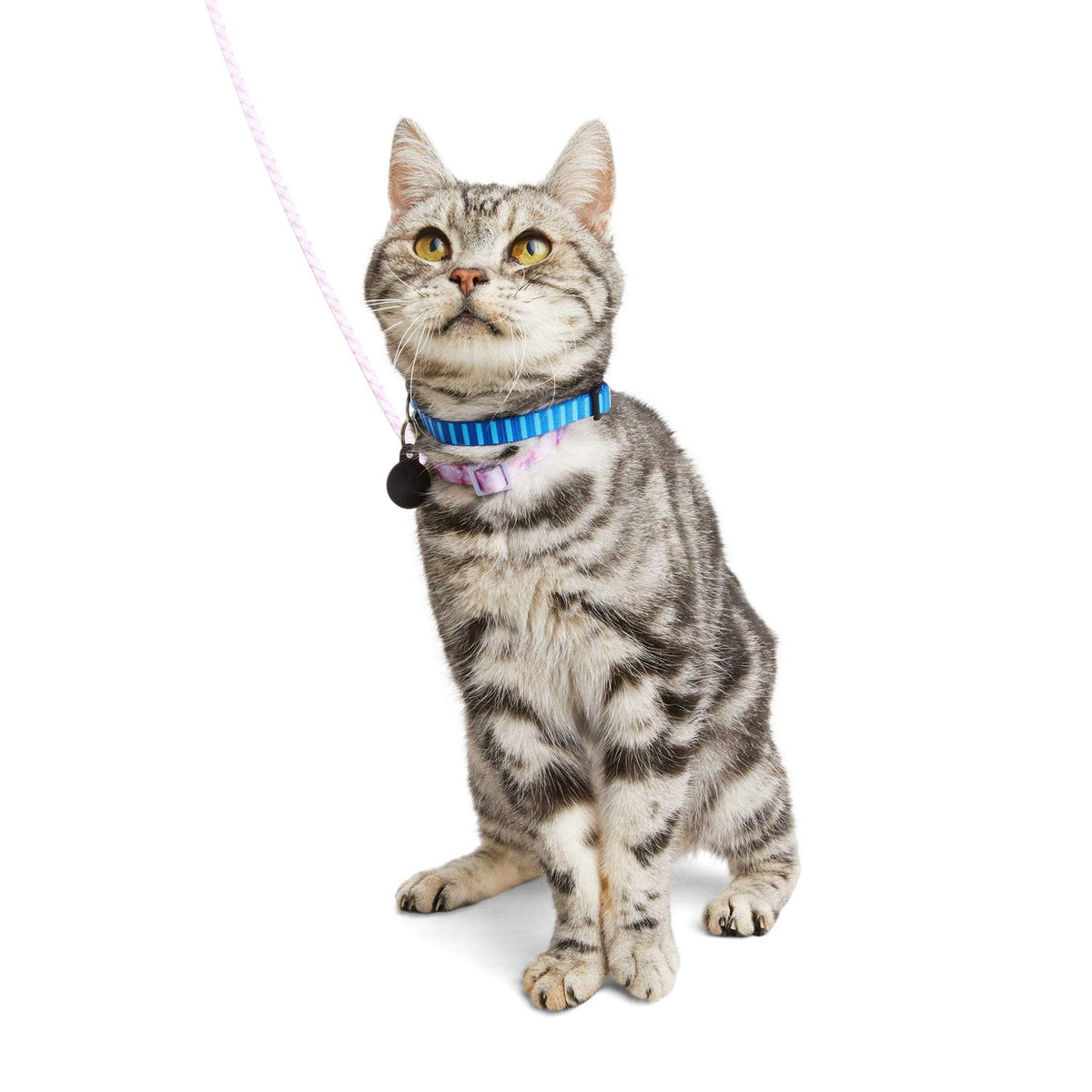 Kitten Harness & Lead F202006