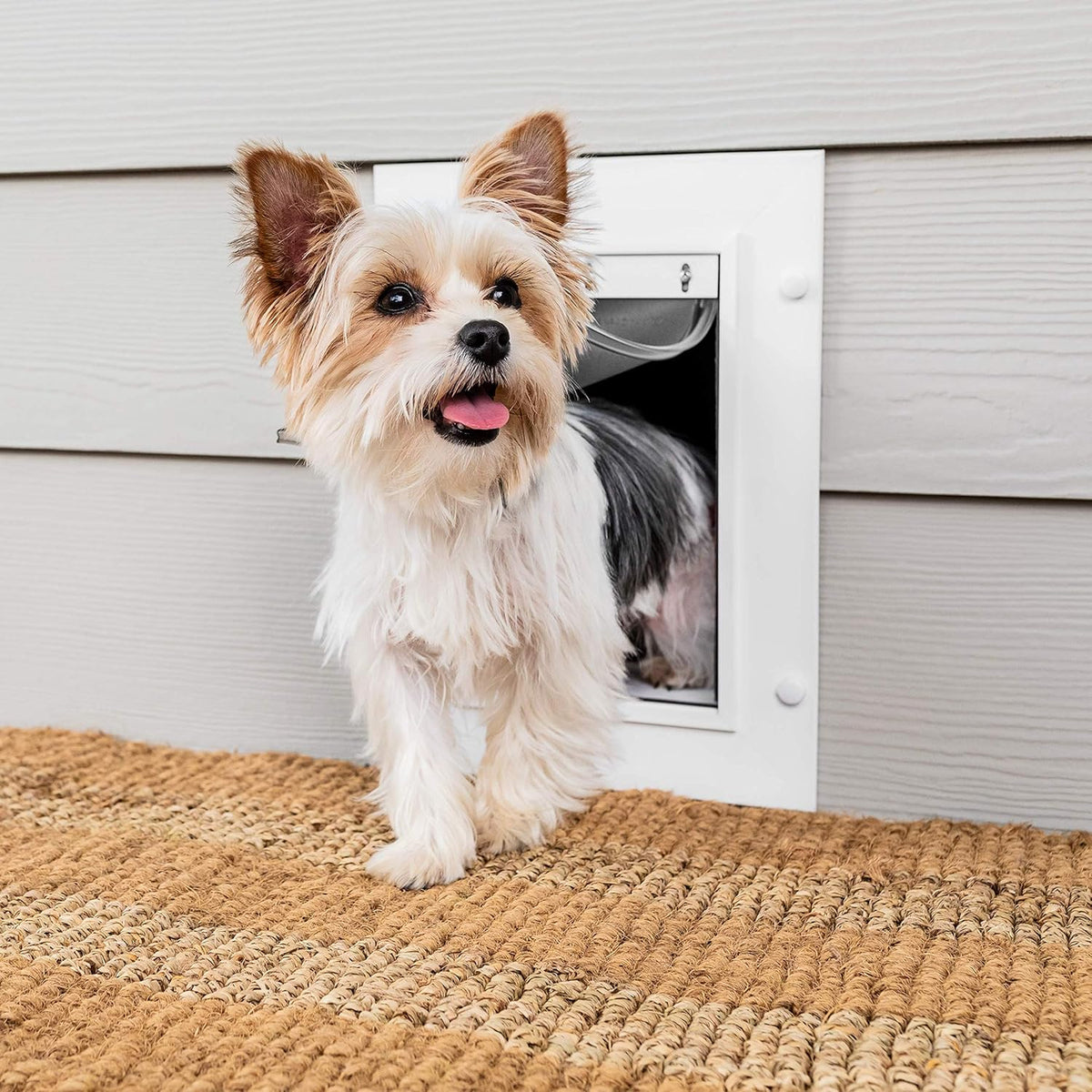 Pet Door with Telescoping Tunnel M92230