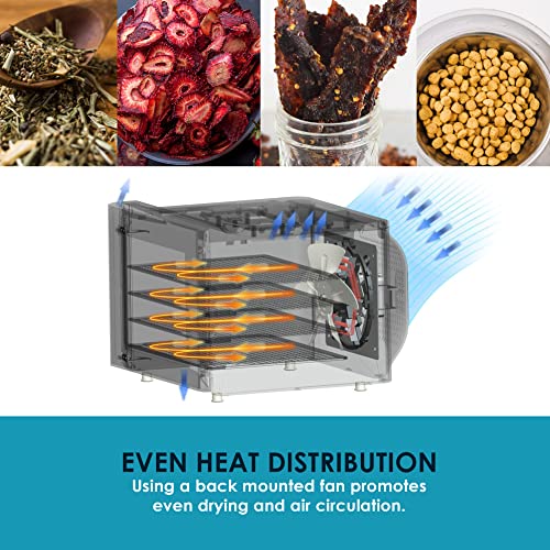 Stainless Steel Trays Food Dehydrator with Adjustable Temperature Controls I657064