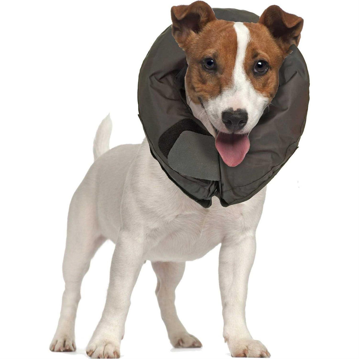 Inflatable Protective Dog Collar K45084