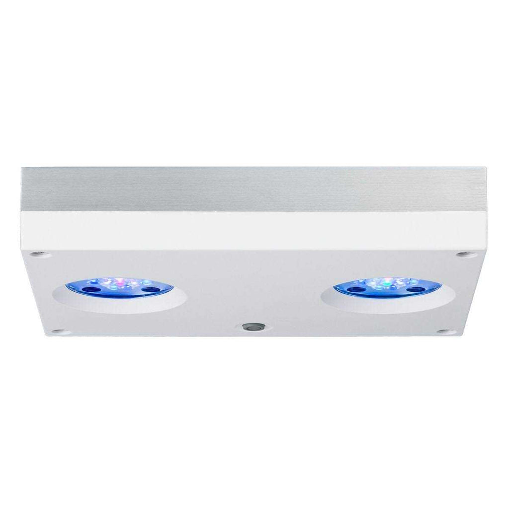 Hydra 32 HD LED H17392