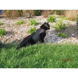 Cat Harness V7048