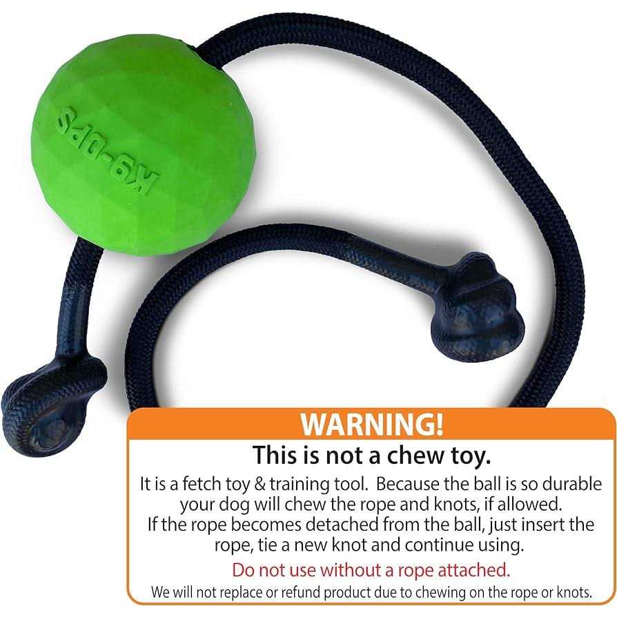 Solid Rubber Dog Ball on a Rope Tug Toy G9731