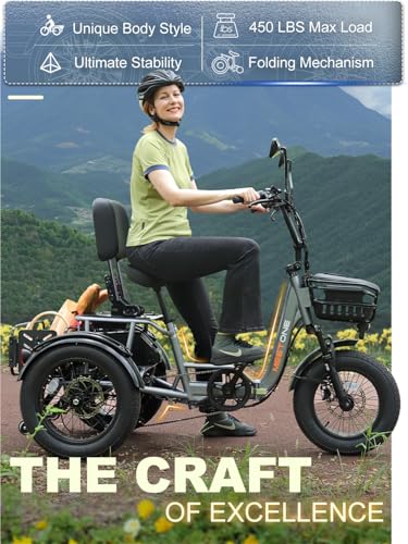 1200W 48V 20AH 18''×4'' Fat Tire Folding Electric Tricycle A89575