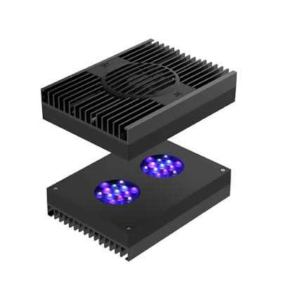 Hydra 32 HD LED H17392