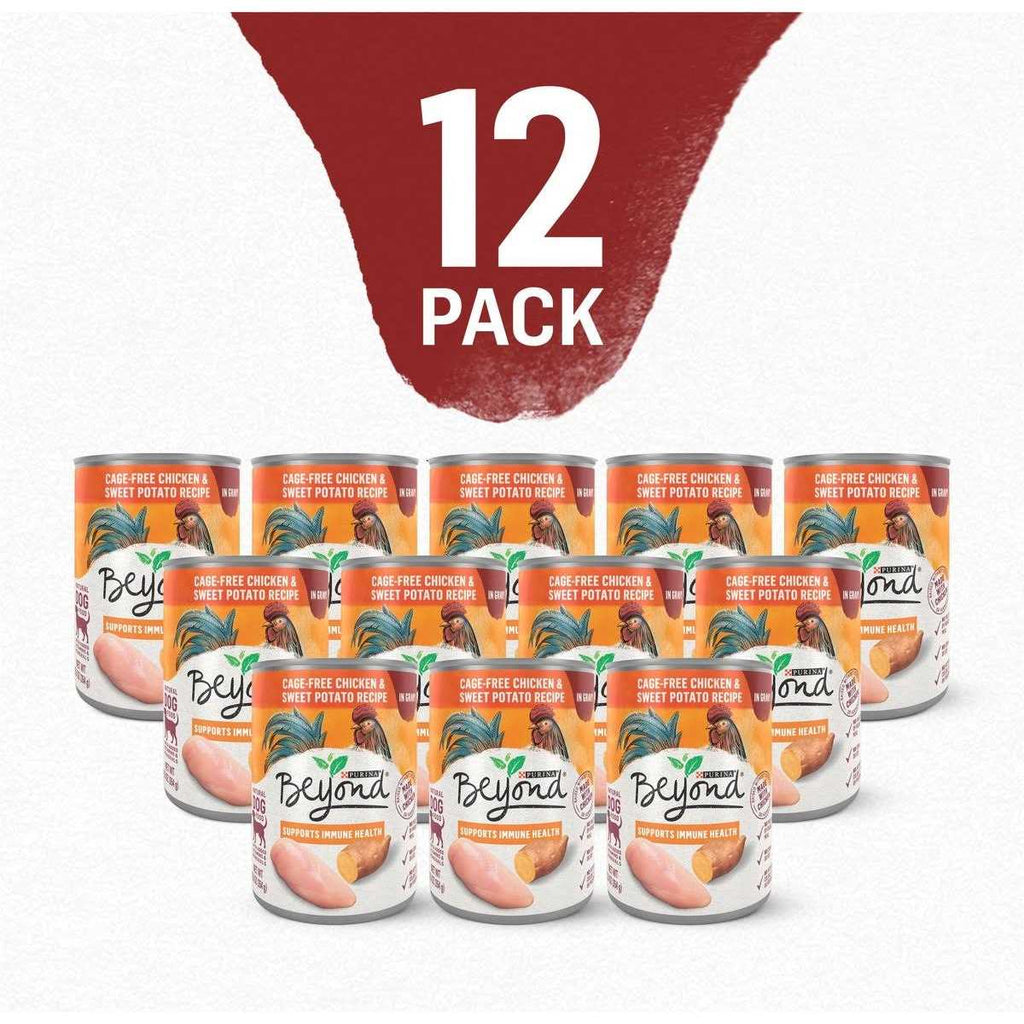 Chicken and Sweet Potato Grain Free Wet Dog Food X925606