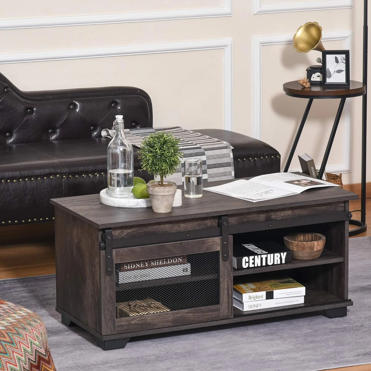 Dark Brown Coffee Table with Storage Z669