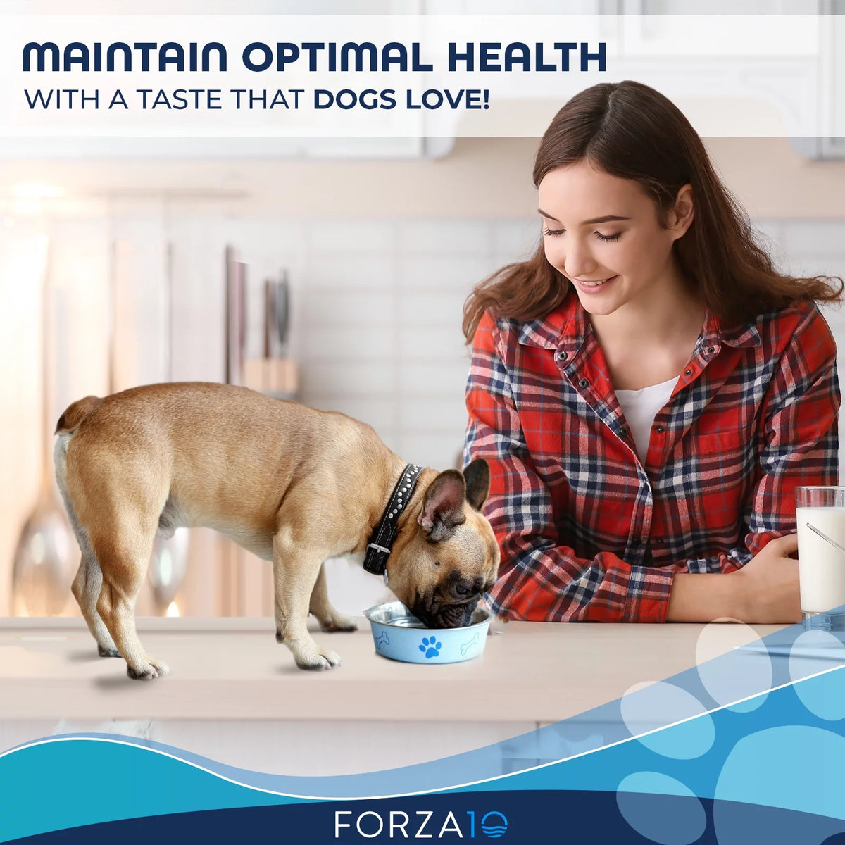 Wet Dog Food 12 pack I72802