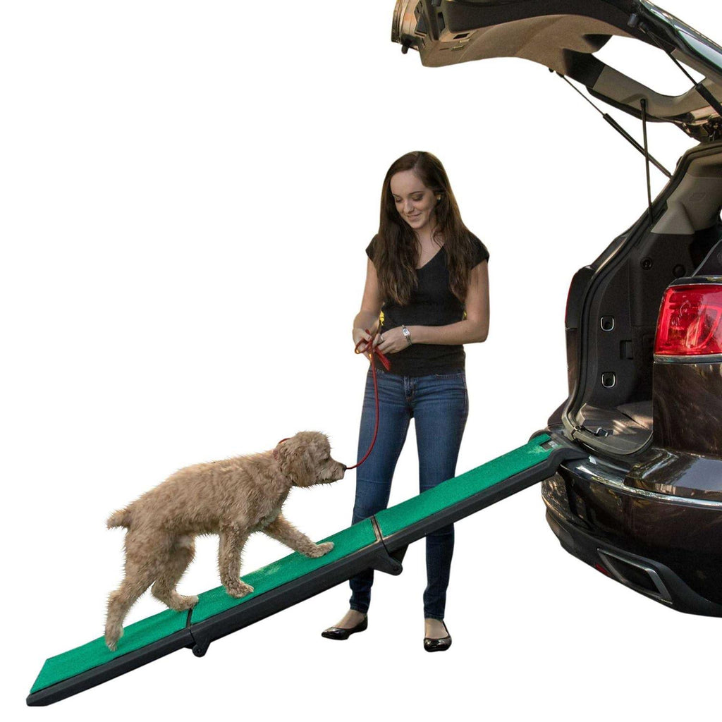 Bi-Fold Pet Ramp B6395