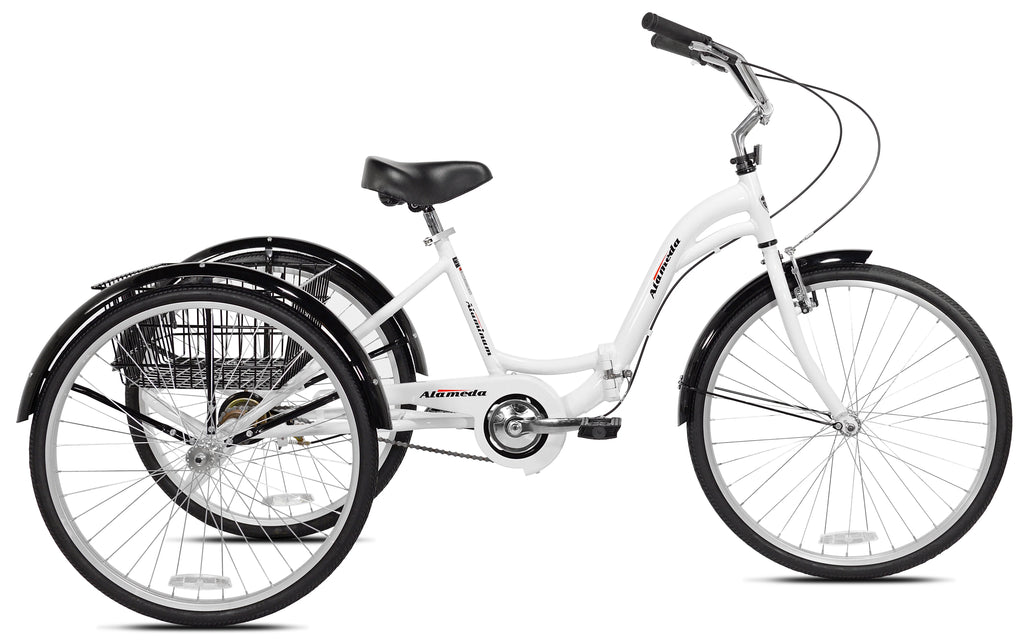 Blue Folding Adult Trike R61063