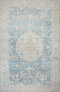 Antique Sky Rug 2.5' x 7'6 U171
