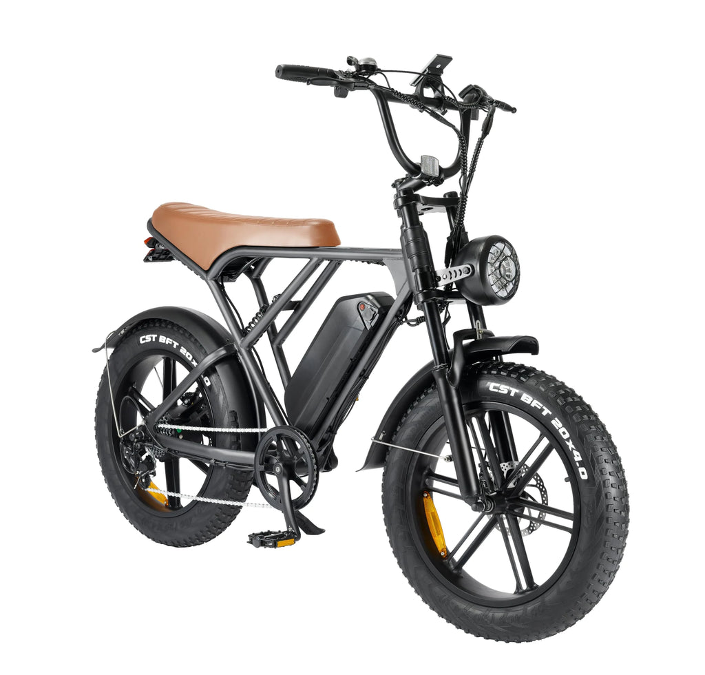 20" Fat Tire 750W Electric Bike with 48V 15AH Removable Battery F623