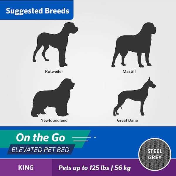 Elevated Pet Bed A834
