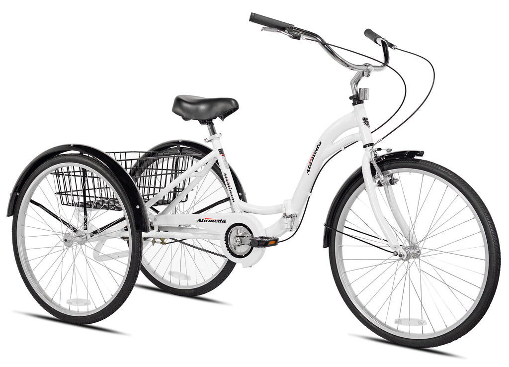 Blue Folding Adult Trike R61063