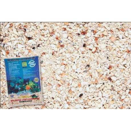 Live Aragonite Saltwater Aquarium Sand Y47420
