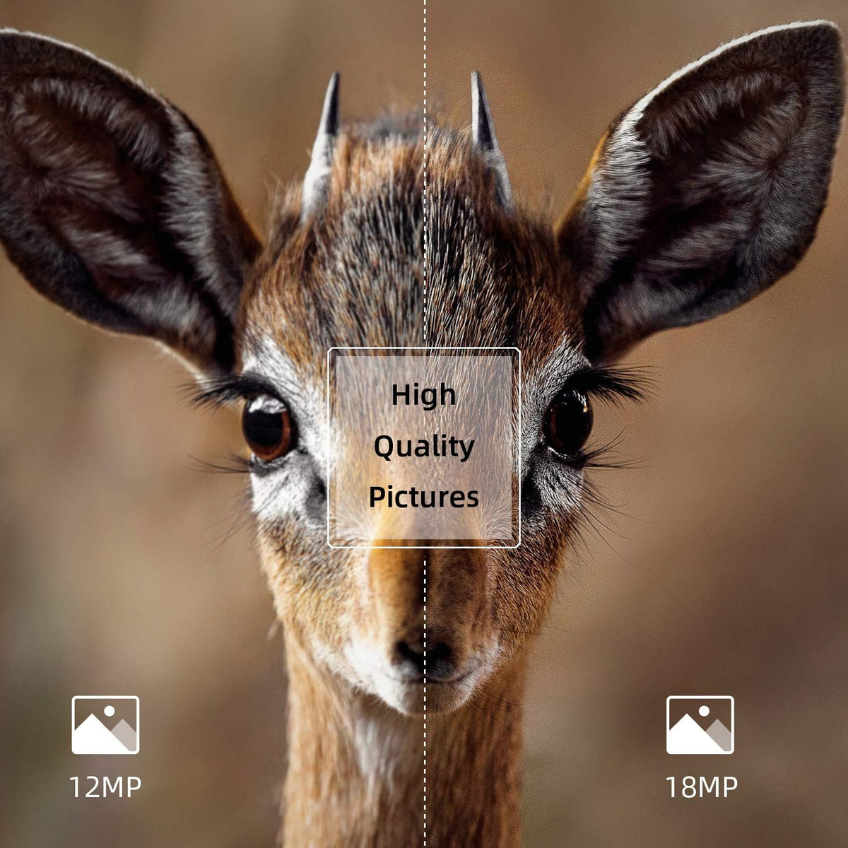 2 Pack 18MP 1080P Game Hunting Scouting Camera with 3 Infrared Sensors Motion Activated Night Vision 2.4" LCD F586349