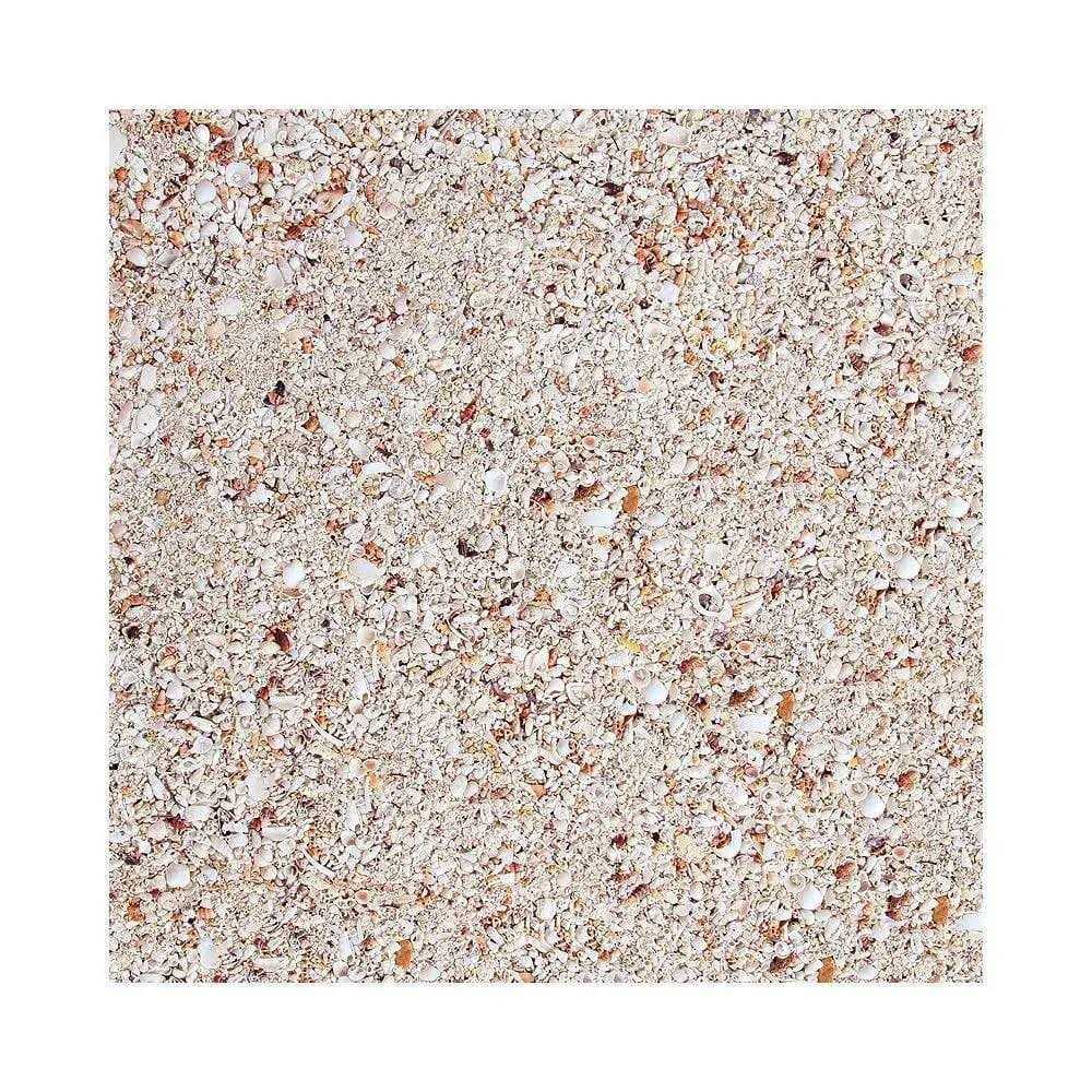 Live Aragonite Saltwater Aquarium Sand Y47420