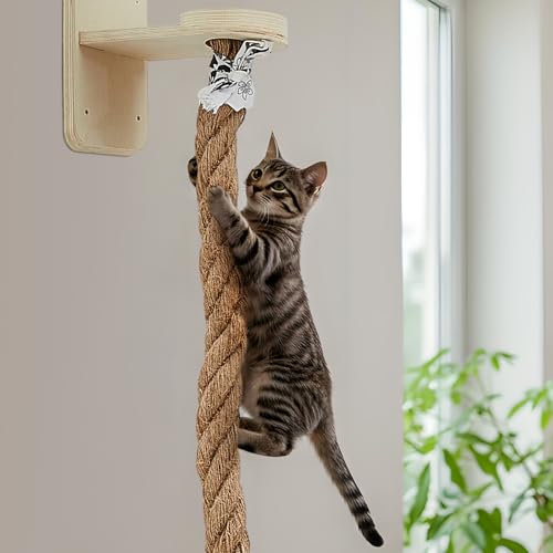 Wall Mounted Cat Tree with Scratching Post Y567