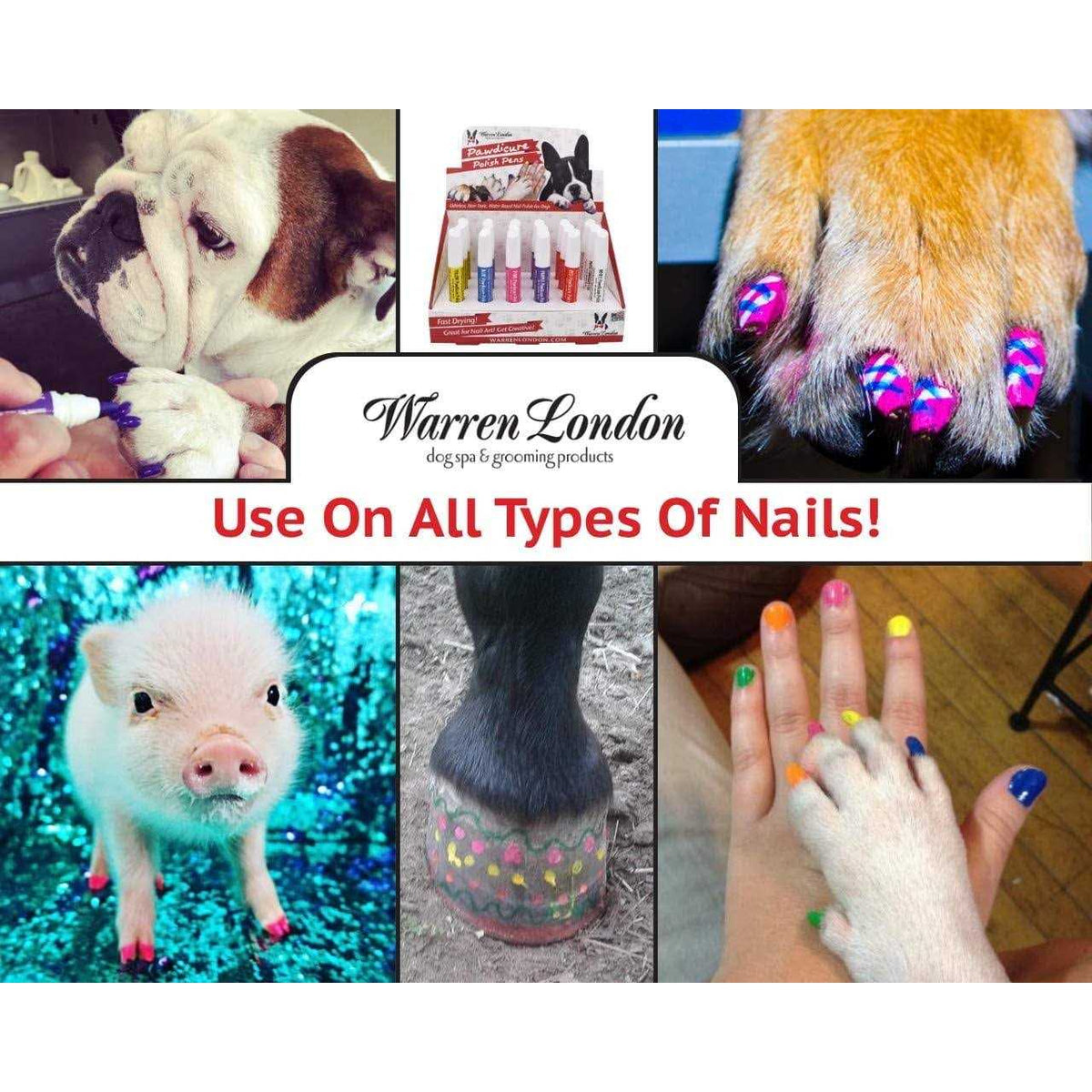 Dog Nail Polish Pen L5389