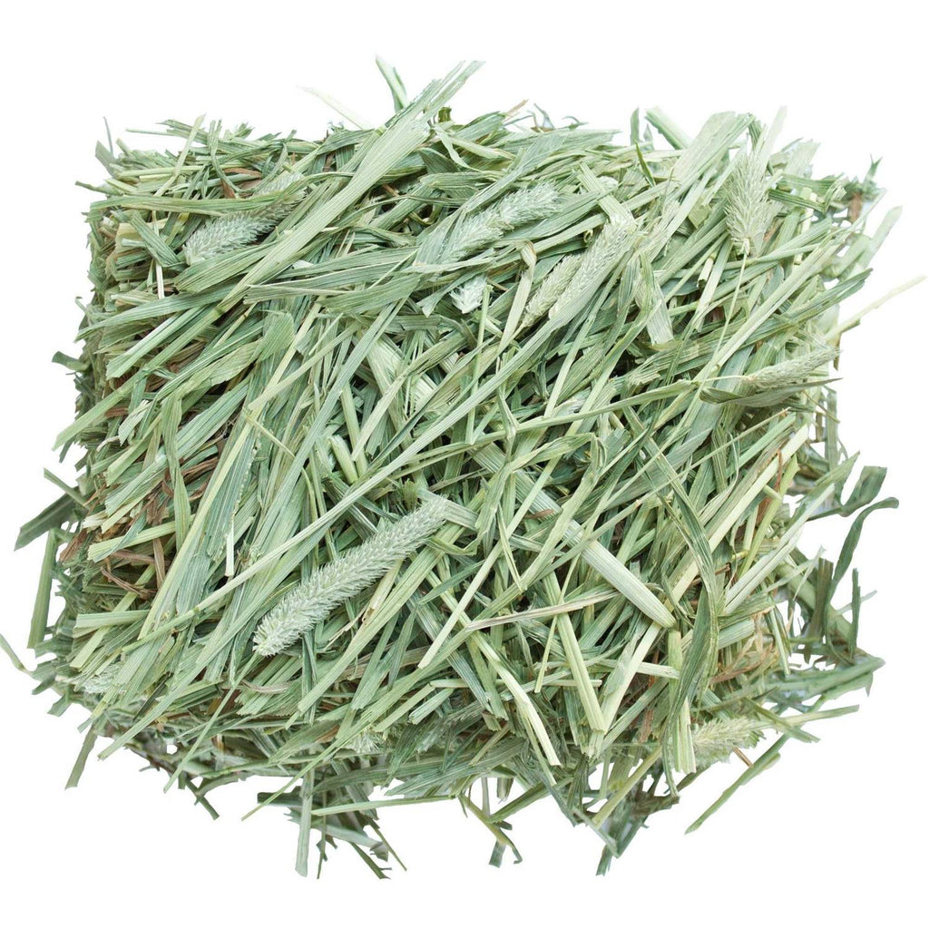 All-Natural Western Timothy Hay Chinchilla Food W339